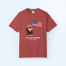 250 Years of USA Flag T-shirt