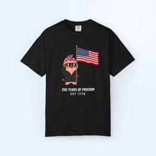 250 Years of USA Flag T-shirt
