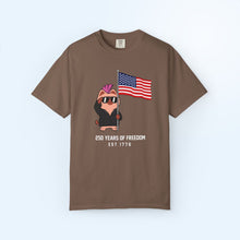 250 Years of USA Flag T-shirt