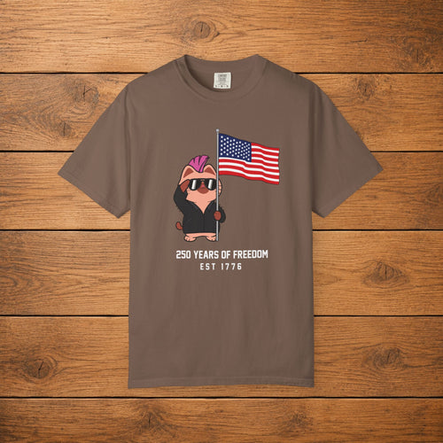 250 Years of USA Flag T-shirt