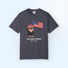250 Years of USA Flag T-shirt